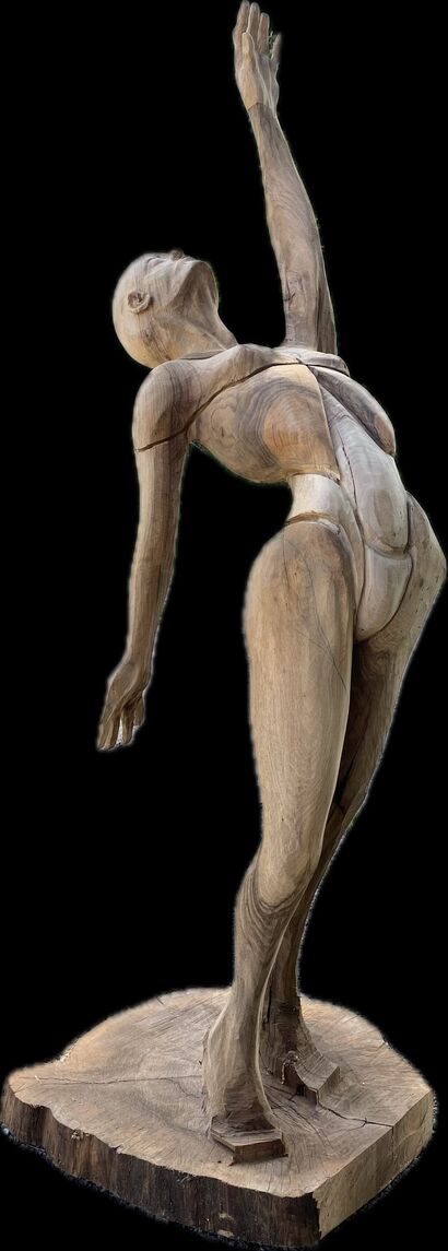 elegance - a Sculpture & Installation Artowrk by Christopher Schlesinger